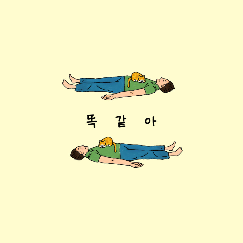 https://www.pearlhousemusic.kr/data/file/portfolio/thumb-ef90ab2b1e933dffa1a798ac4904a4ba_SlsPhnRQ_cfffc9a9a46a2a061651ec93a5555a50a1526b45_800x.jpg